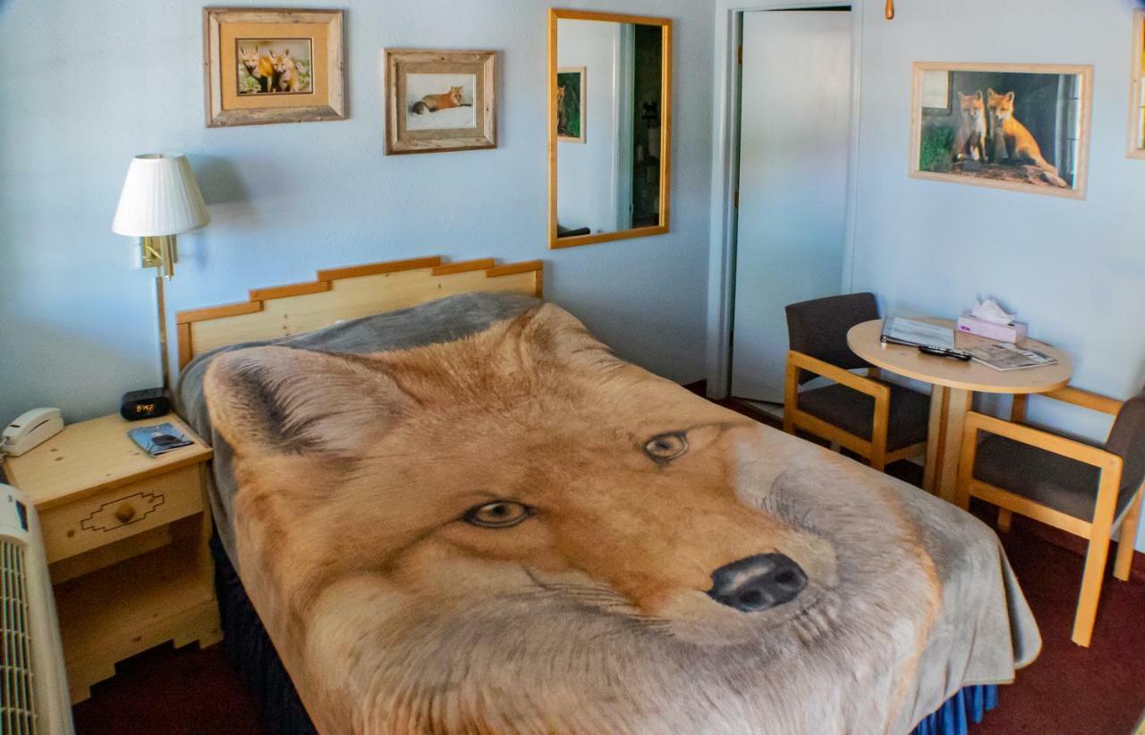 Elk Run Inn Craig Kültér fotó